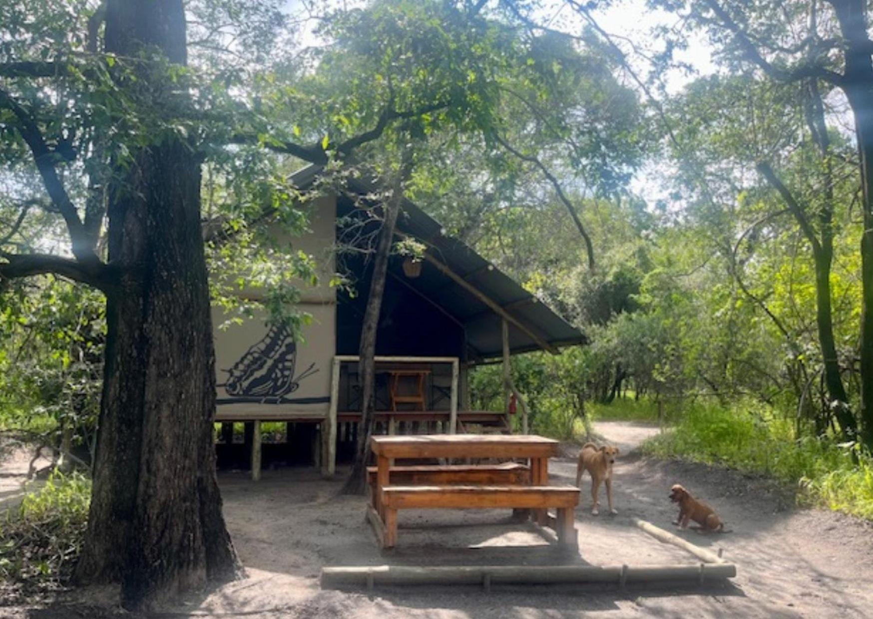 Phazama Farm Villa Maun Ngoại thất bức ảnh